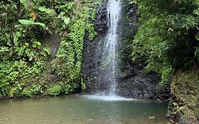 Le Ketmie Nature Et Decouverte