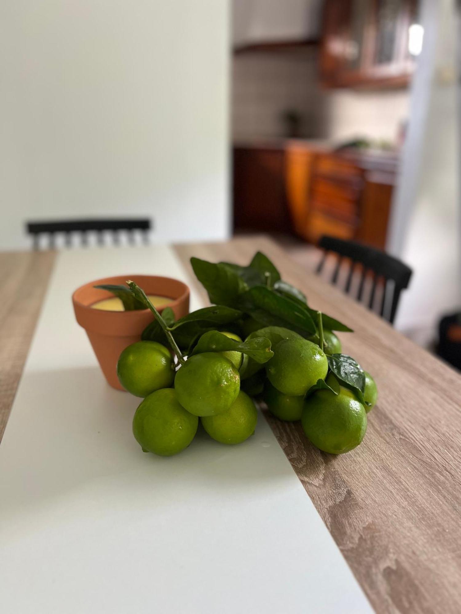 Le Ketmie Nature Et Decouverte Fond-Saint-Denis Extérieur photo