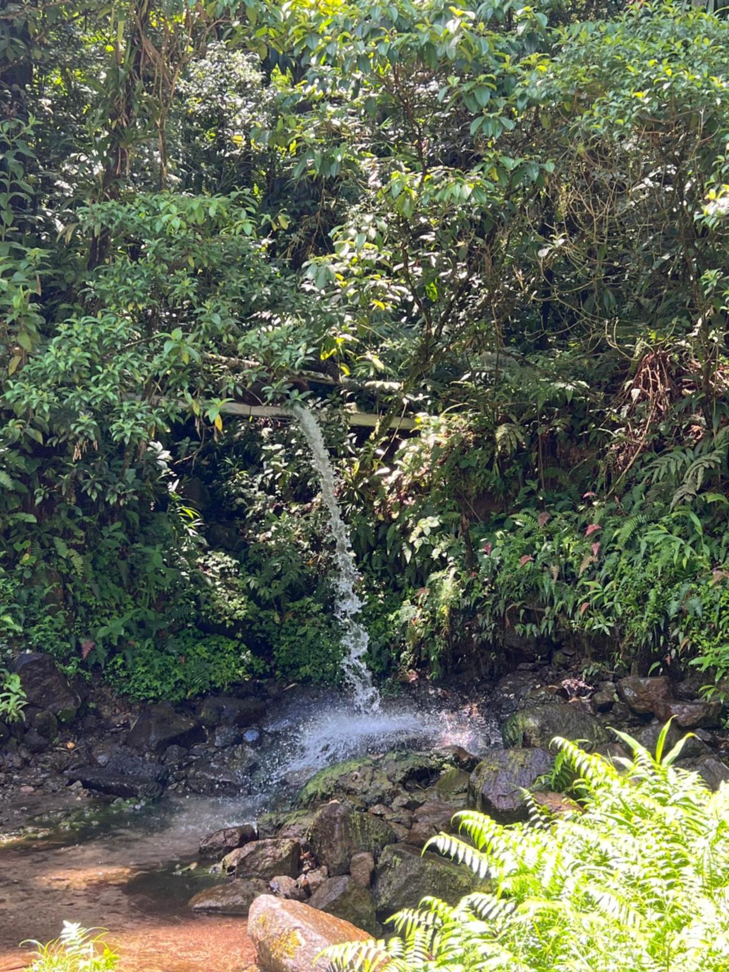 Le Ketmie Nature Et Decouverte Fond-Saint-Denis Extérieur photo